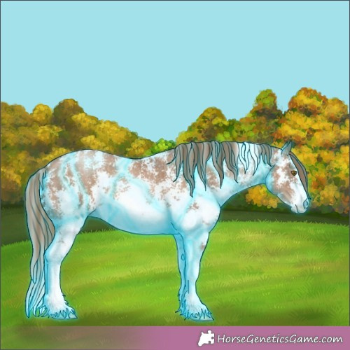 Horse Color:Thunderstruck Liver Chestnut Pearl Sabino 