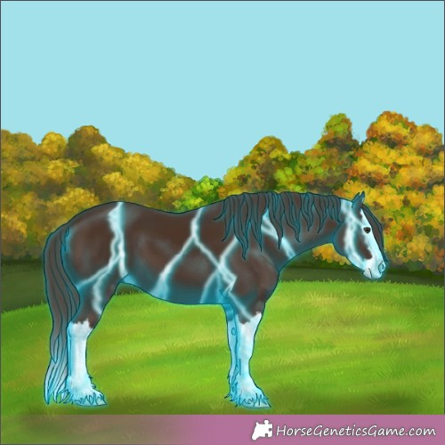 Horse Color:Thunderstruck Liver Chestnut Splash 