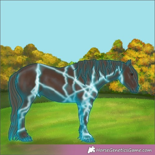 Horse Color:Thunderstruck Liver Chestnut 