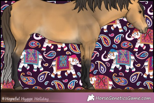 Horse Color:Buckskin 