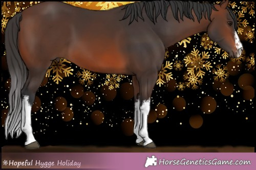 Horse Color:White Spotted Brown 