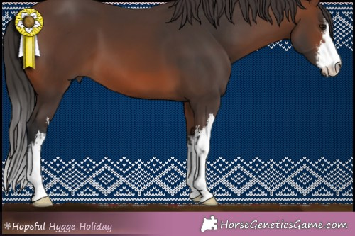 Horse Color:White Spotted Brown 