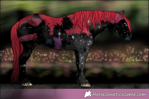 Horse Color:ERROR: UNKNOWN ANOMALY