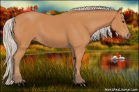 Horse Color:Silver Bay 