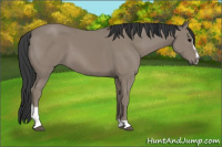 Horse Color:Black Sabino