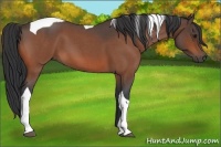 Horse Color:Bay Roan Tobiano 