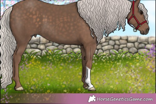 Horse Color:Silver Black 