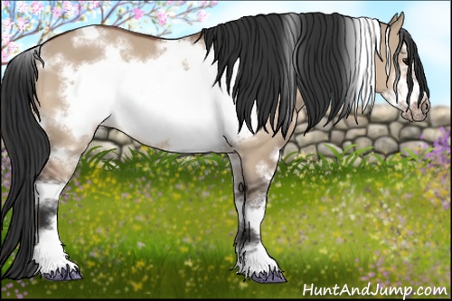 Horse Color:White Spotted Bay Dun Sabino Frame