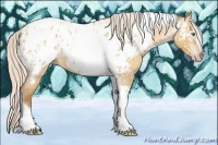 Horse Color:Gray Silver Amber Cream Champagne Roan Dun Splash Tobiano Frame Blanket Rabicano 