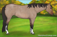 Horse Color:Bay Roan Dun Tobiano 
