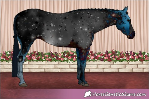 Horse Color:ERROR: UNKNOWN ANOMALY
