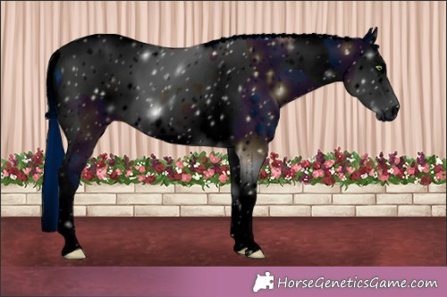 Horse Color:ERROR: UNKNOWN ANOMALY