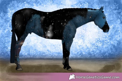 Horse Color:ERROR: UNKNOWN ANOMALY
