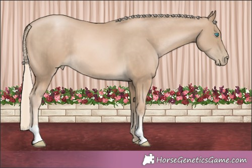 Horse Color:Chocolate Palomino Pearl 