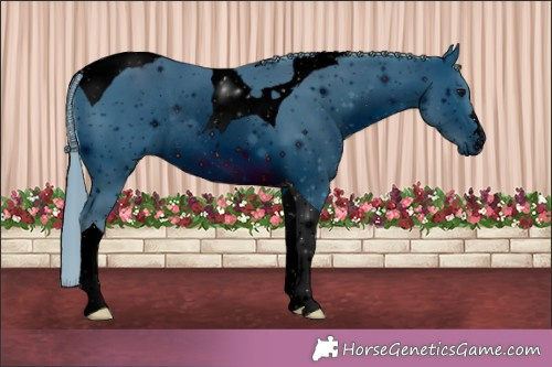 Horse Color:ERROR: UNKNOWN ANOMALY