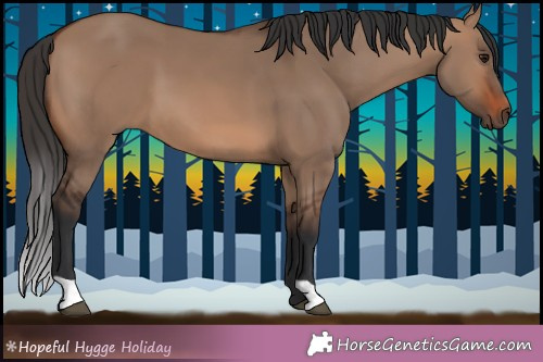 Horse Color:Brown Dun 