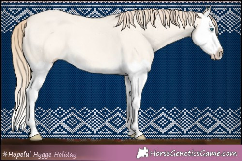 Horse Color:Perlino Dun Splash 