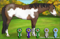Horse Color:Bay Frame 