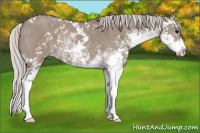 Horse Color:Silver Grullo Sabino