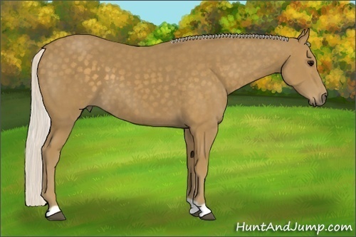 Horse Color:Silver Smoky Black 