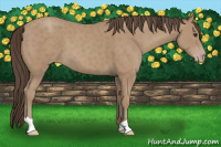Horse Color:Classic Champagne 