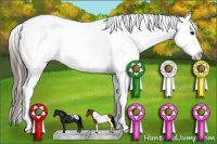 Horse Color:Black Tobiano Frame Appaloosa 
