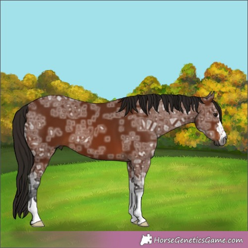 Horse Color:Gray Bay Ice 