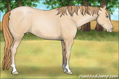 Horse Color: Smoky Black Pearl 