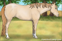 Horse Color:Smoky Black Pearl 