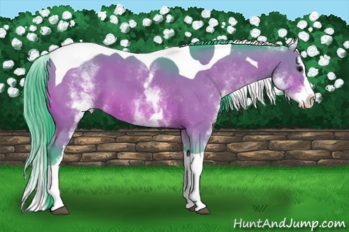 Horse Color:Watercolor White Spotted Bay Splash Tobiano
