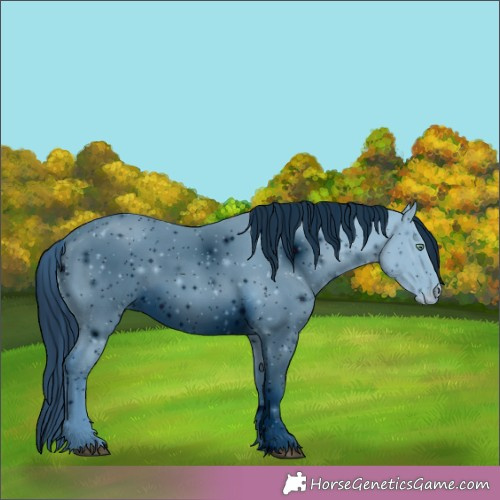 Horse Color: ERROR: UNKNOWN ANOMALY