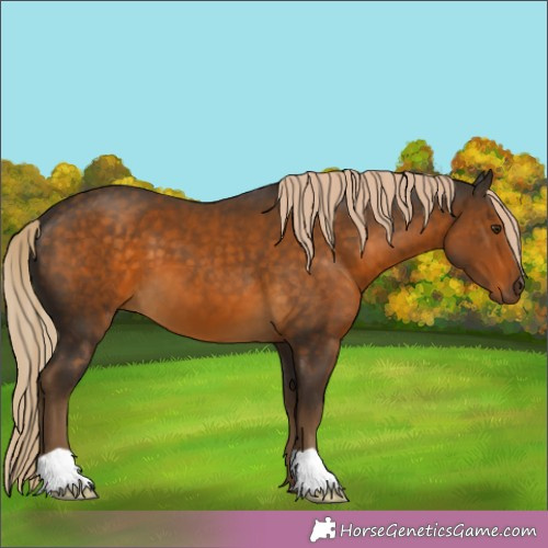 Horse Color:Chocolate Palomino 