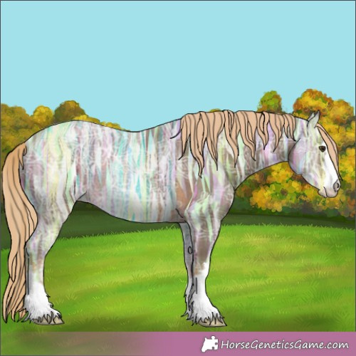Horse Color:Chocolate Palomino Ice Rabicano 