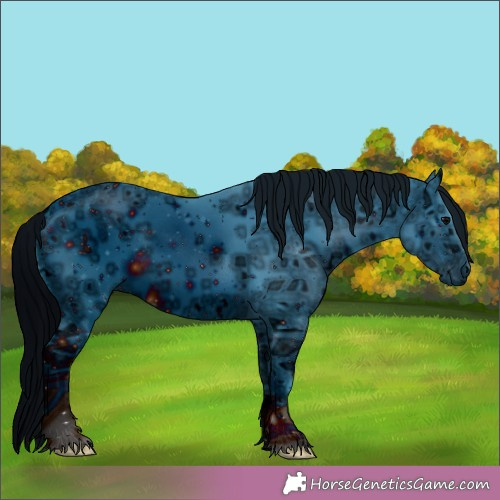 Horse Color:ERROR: UNKNOWN ANOMALY