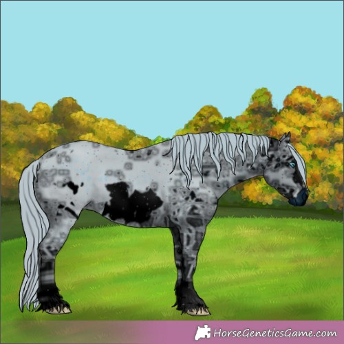 Horse Color:ERROR: UNKNOWN ANOMALY