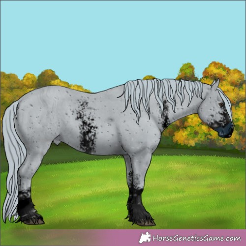 Horse Color:ERROR: UNKNOWN ANOMALY