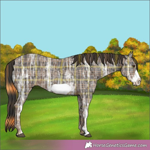 Horse Color:Plaid  Liver Chestnut Ice Frame 