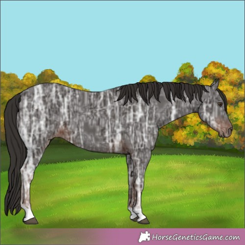 Horse Color:Liver Chestnut Ice 