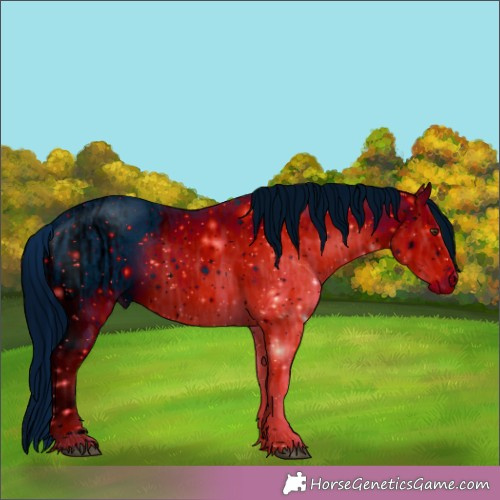 Horse Color:ERROR: UNKNOWN ANOMALY