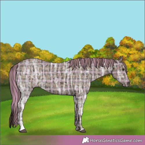 Horse Color:Plaid  Liver Chestnut Ice 