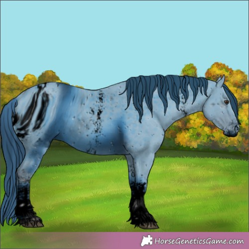 Horse Color:ERROR: UNKNOWN ANOMALY