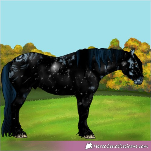 Horse Color:ERROR: UNKNOWN ANOMALY