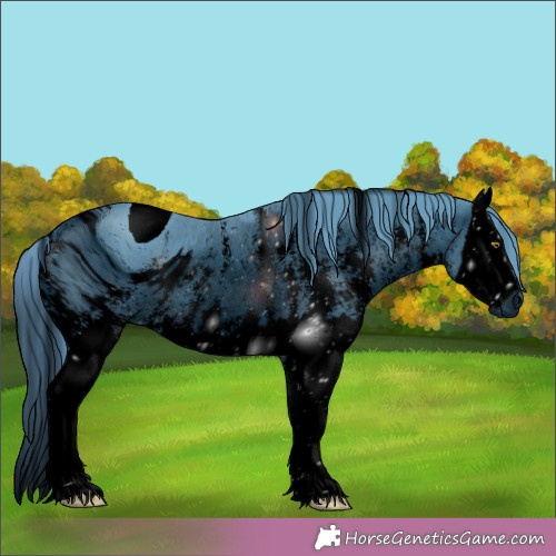 Horse Color:ERROR: UNKNOWN ANOMALY