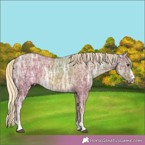 Horse Color:Plaid  Chocolate Palomino Ice 