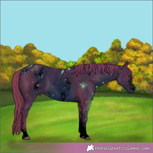 Horse Color:ERROR: UNKNOWN ANOMALY