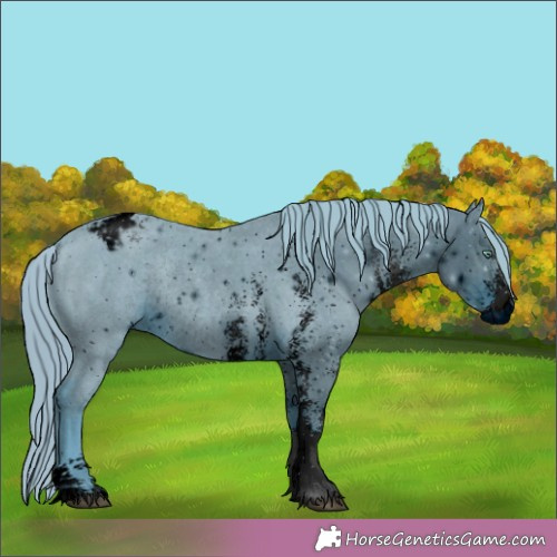 Horse Color:ERROR: UNKNOWN ANOMALY