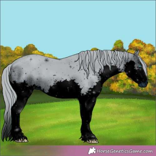 Horse Color:ERROR: UNKNOWN ANOMALY