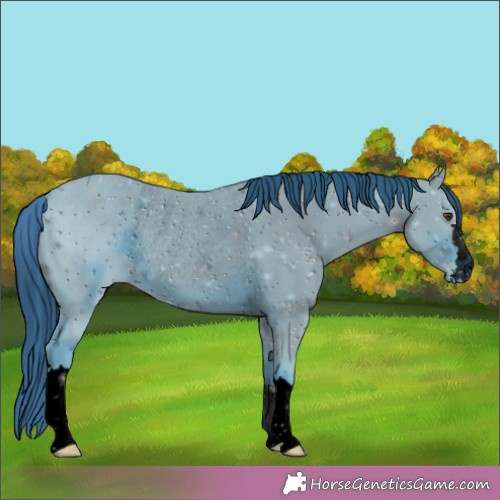 Horse Color:ERROR: UNKNOWN ANOMALY