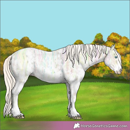Horse Color:Cremello Ice Sabino Rabicano 