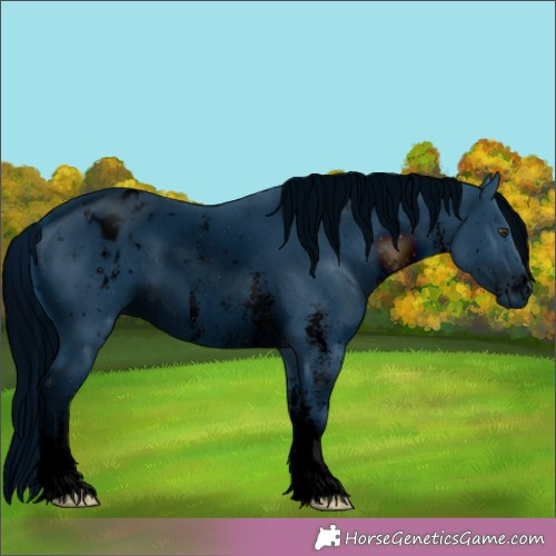 Horse Color:ERROR: UNKNOWN ANOMALY